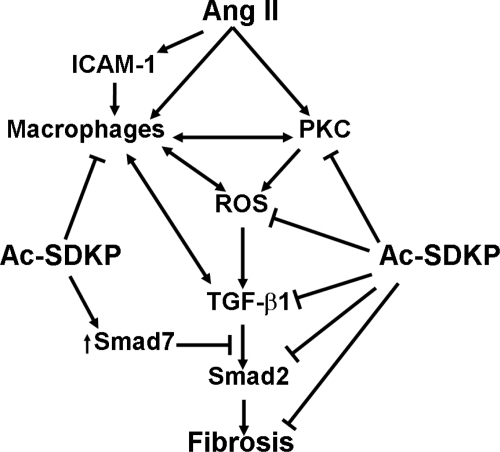 Fig. 10.