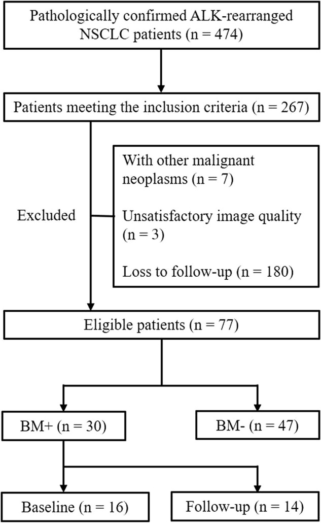 FIGURE 1