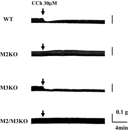 Fig. 5.