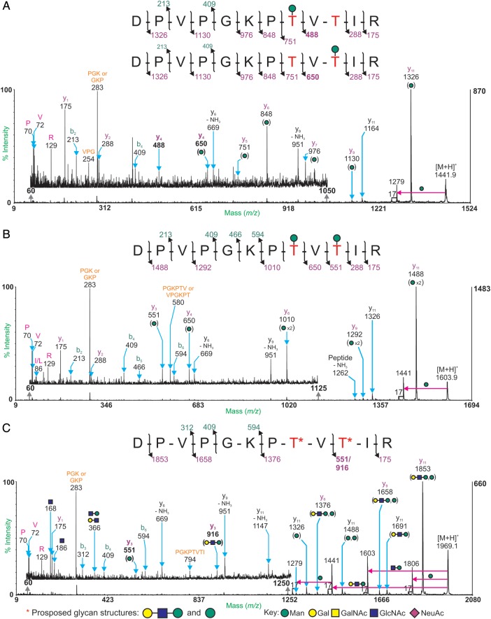 Fig. 3.