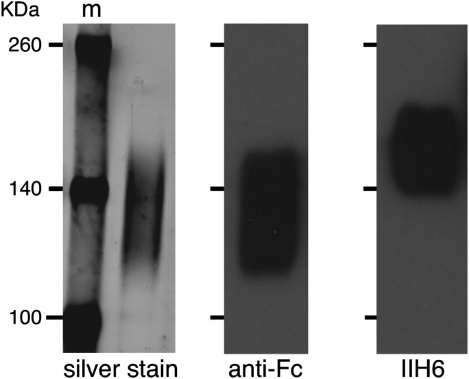 Fig. 1.