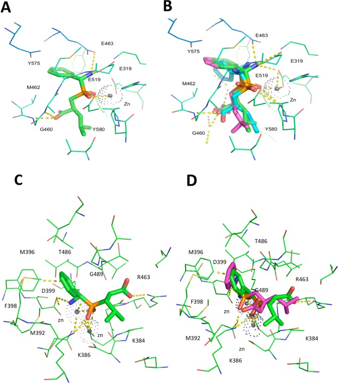 Fig 6