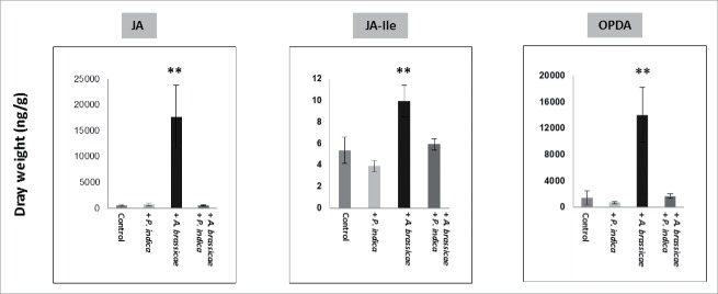 Figure 7.