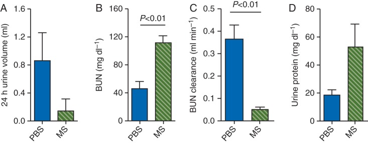 Fig 5