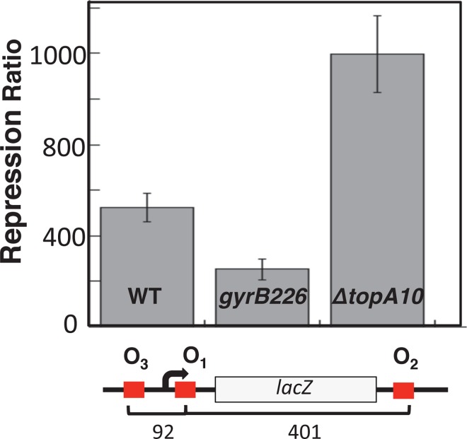 Fig 4