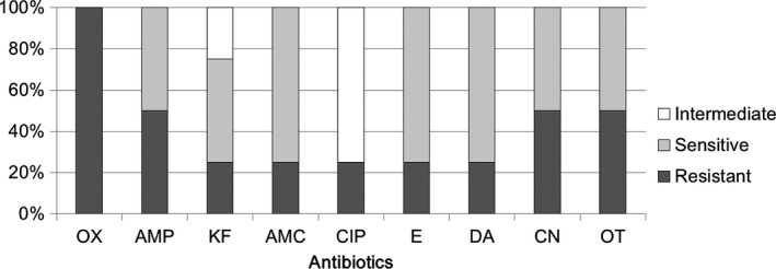 Figure 7