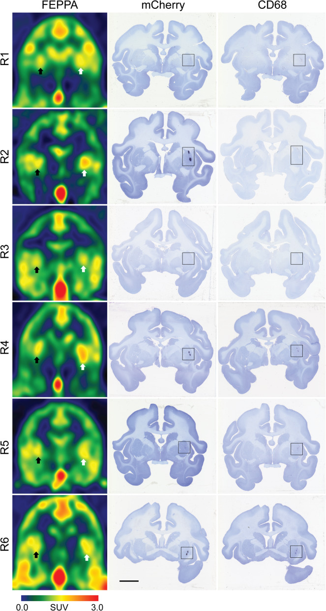 Fig. 3