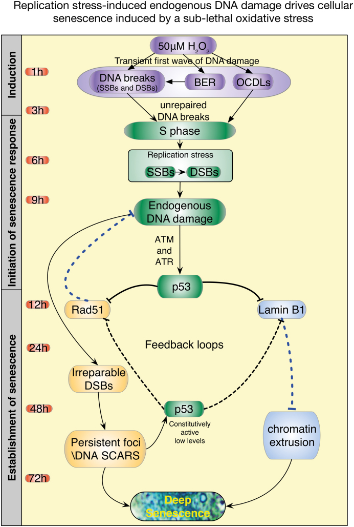 Figure 10.