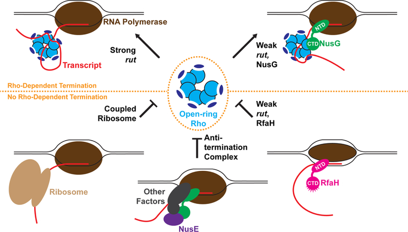 Figure 1: