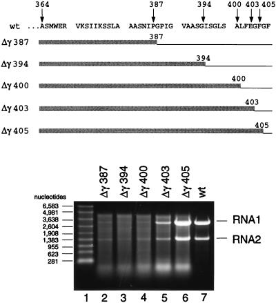 FIG. 7