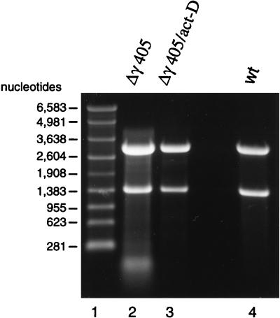 FIG. 9