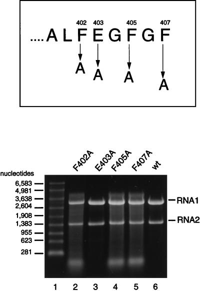 FIG. 8