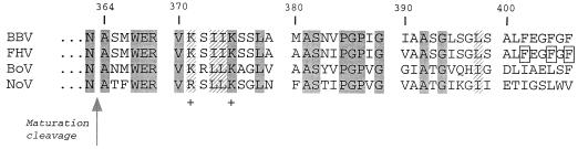 FIG. 10