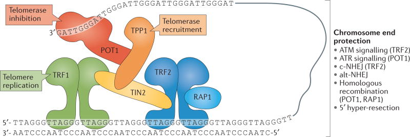 graphic file with name nihms889355f7.jpg