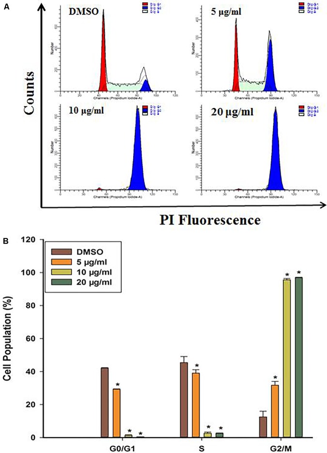 FIGURE 2