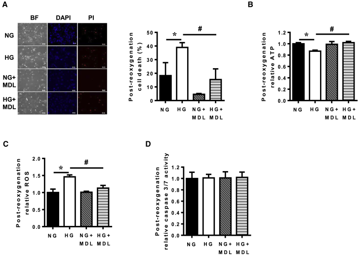 Figure 6