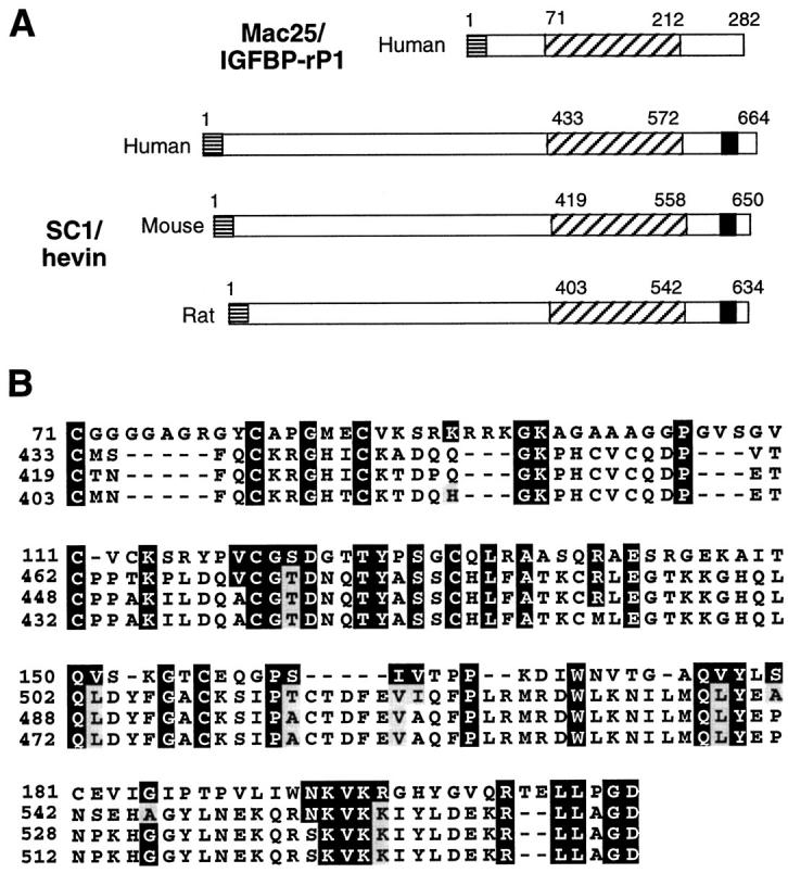 Figure 7.