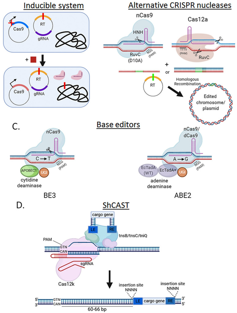 Figure 5