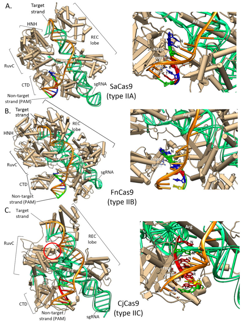 Figure 7