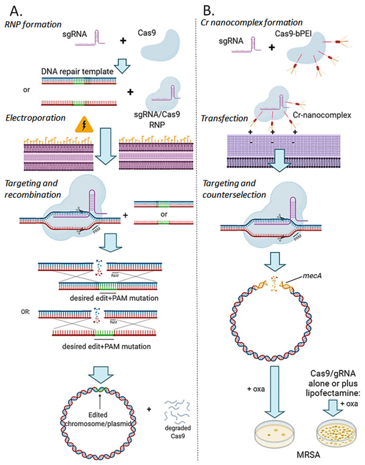 Figure 6