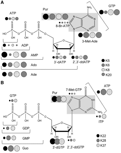 Figure 5.