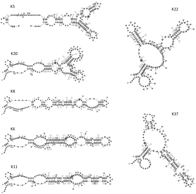 Figure 7.