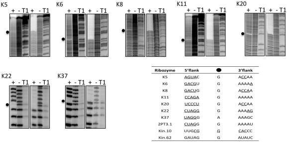 Figure 6.