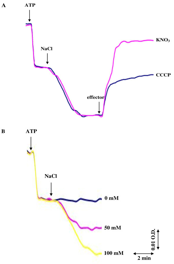 Figure 9