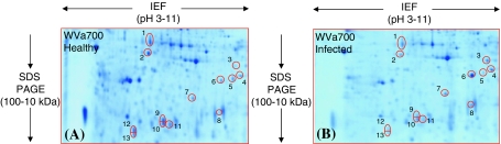 Fig. 4