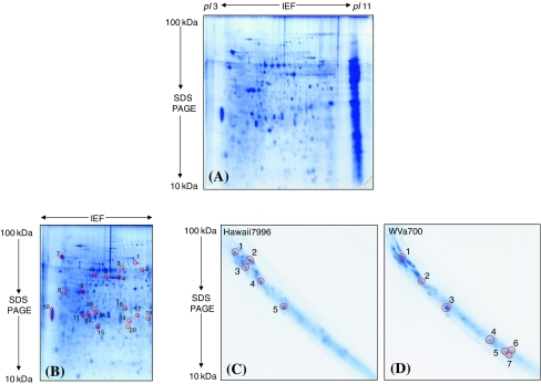 Fig. 2