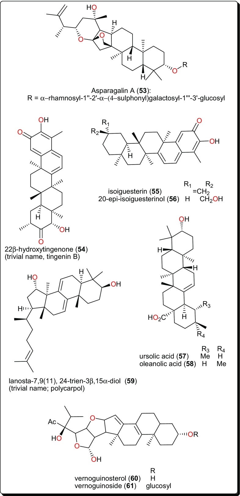 Fig. 10