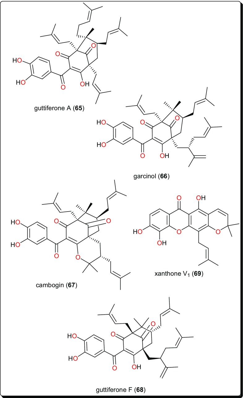 Fig. 12