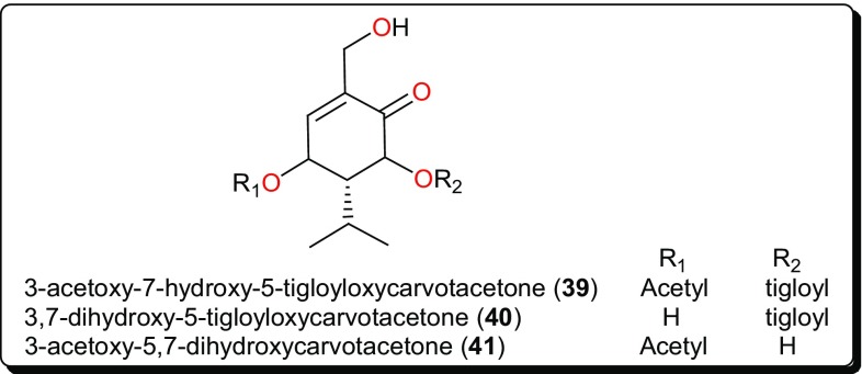 Fig. 7