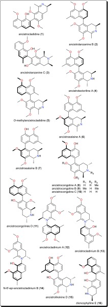 Fig. 2