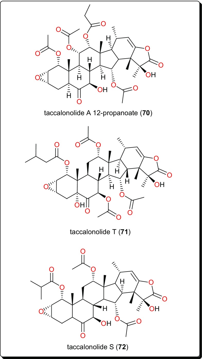 Fig. 13