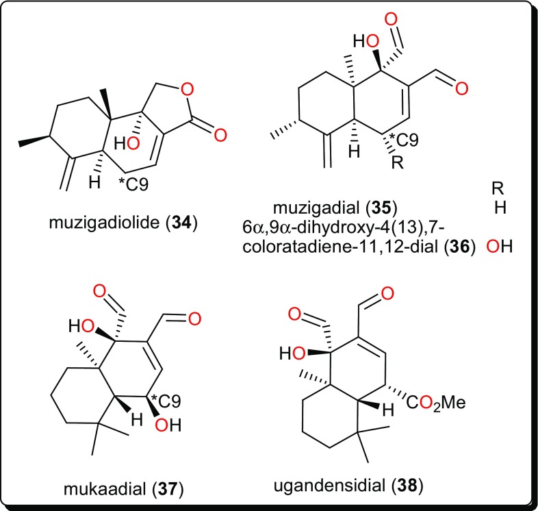 Fig. 6