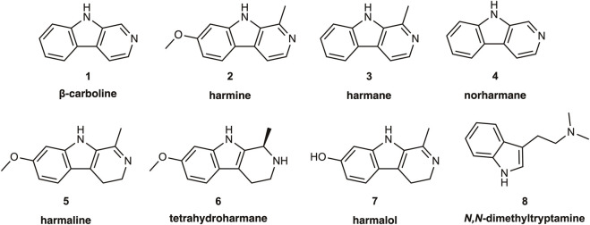 FIGURE 1