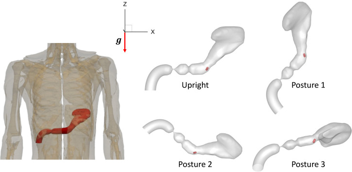 FIG. 4.