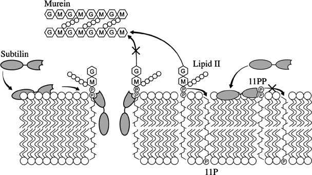 FIG. 6.