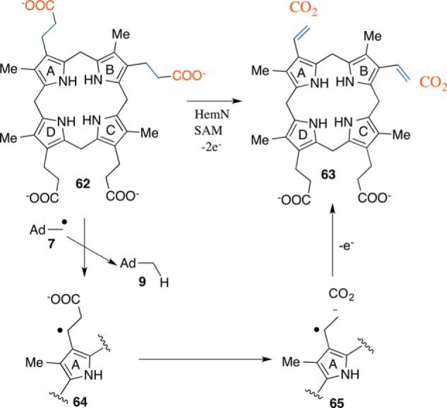 FIGURE 9.