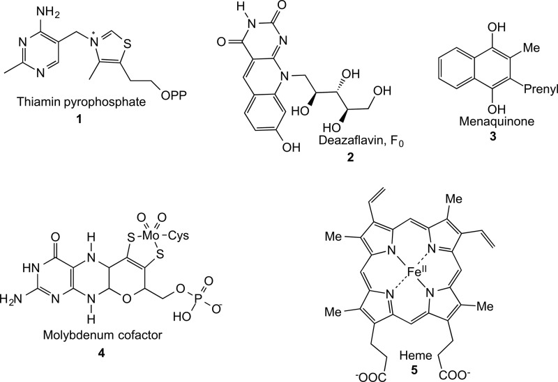 FIGURE 1.