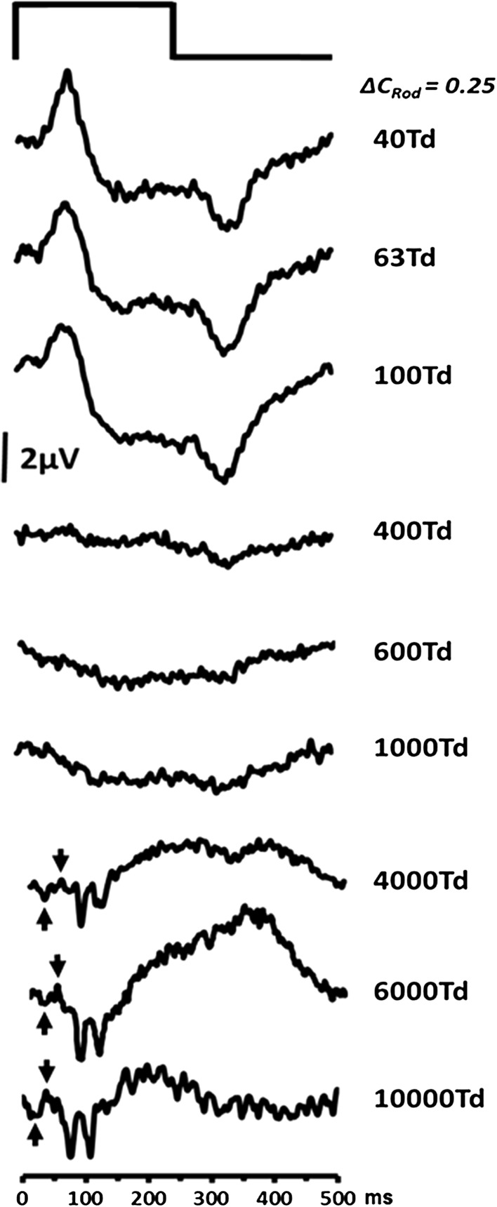 Fig. 3