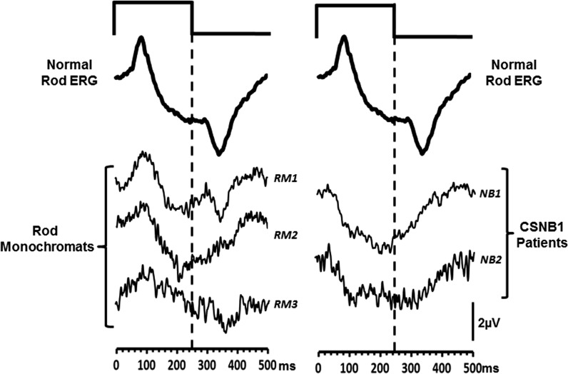 Fig. 9