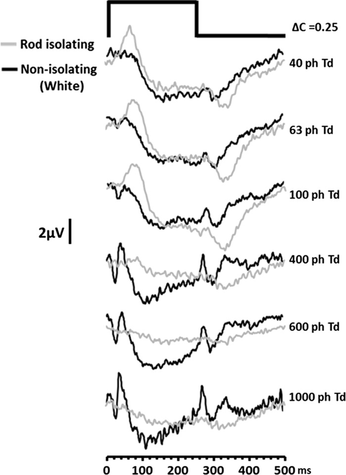 Fig. 4