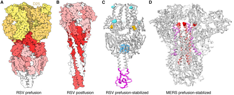 Figure 4