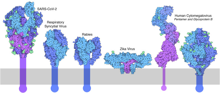 Figure 2