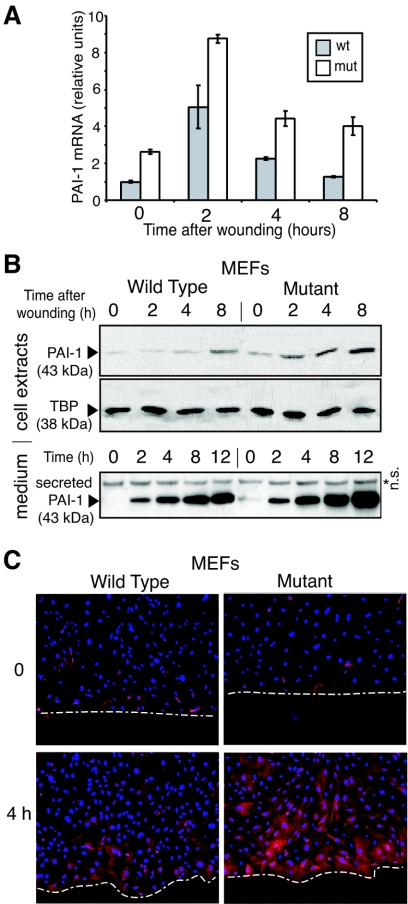 FIG. 4.