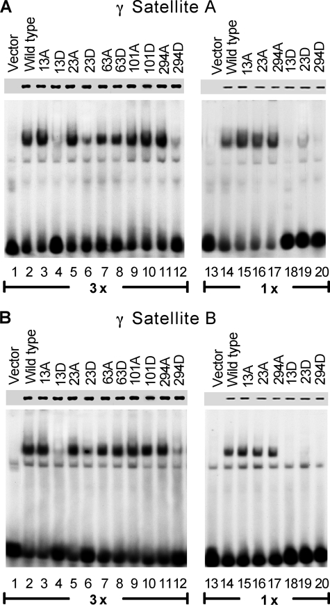 FIGURE 2.