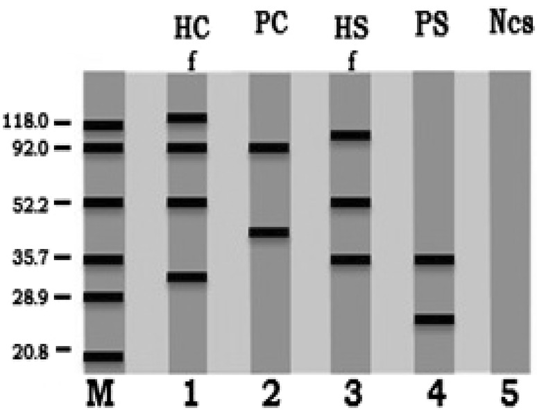 Fig. 2