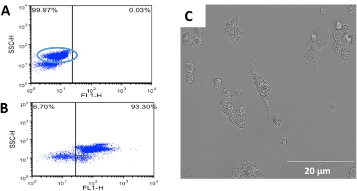 Fig 3